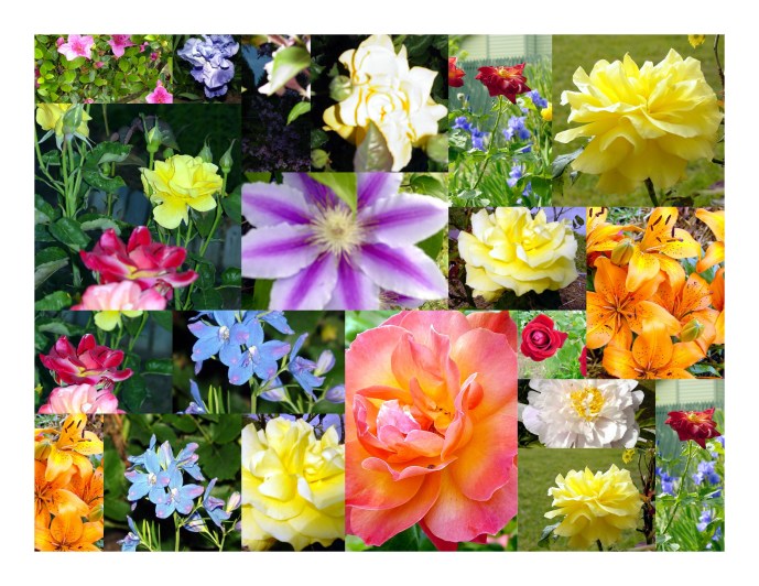 prayer garden collage commercial