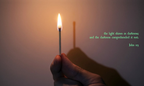 tumblr_nxs0ur1svD1qcr0yco1_500