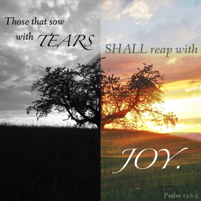 b980c334a29d7c3b9e88e85e021a3379--jesus-quotes-bible-quotes